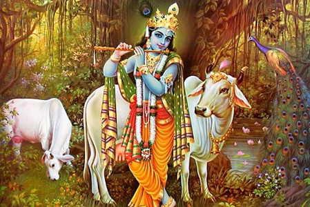 Sri Krishna Puja
