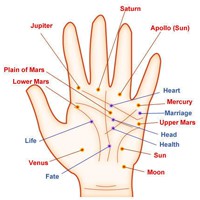 Palm Reading