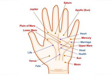 Palm Reading